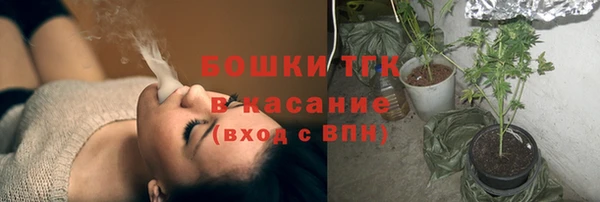 стаф Аркадак