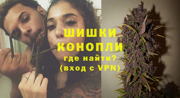 ГАЛЛЮЦИНОГЕННЫЕ ГРИБЫ Арсеньев
