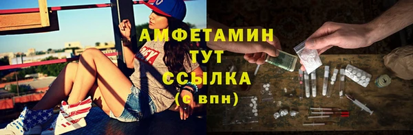 стаф Аркадак